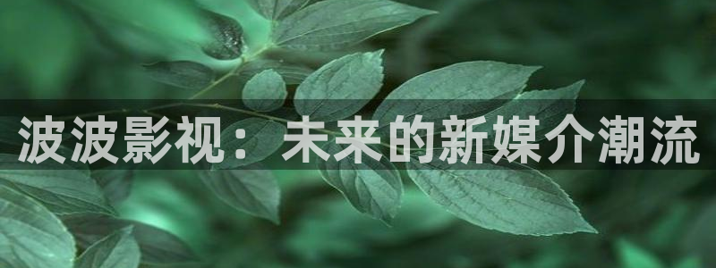 97视频免费在线视频：波波影视：未来的新媒介潮流
