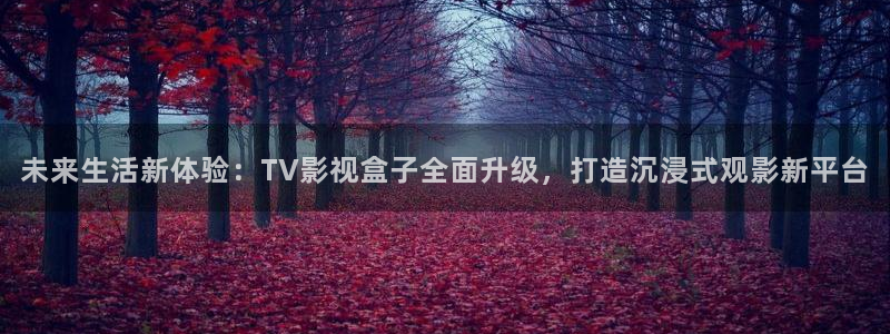 97视频热：未来生活新体验：TV影视盒子全面升级，打造沉浸式观影新平台