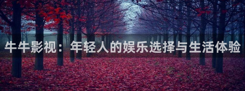 97护士免费视频：牛牛影视：年轻人的娱乐选择与生活体验