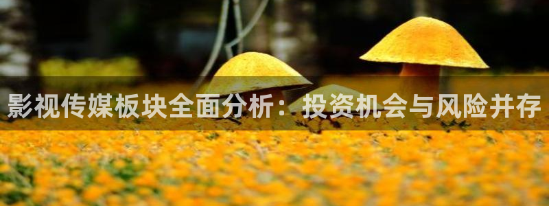 超碰97人人干人人爱：影视传媒板块全面分析：投资机会与风险并存