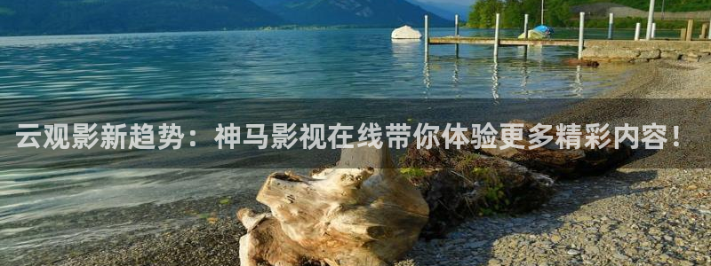 97理论电影在线看：云观影新趋势：神马影视在线带你体验更多精彩内容！