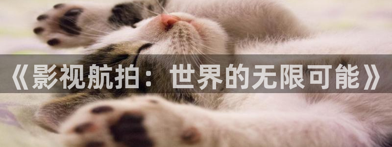 超碰97精品在线观看：《影视航拍：世界的无限可能》